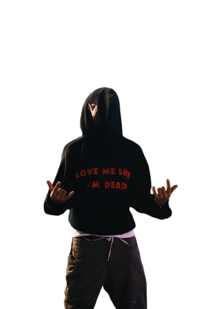 1 LD Double Zip Hoodie
